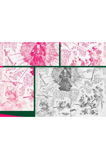 Japanese Art of Extraordinary Beings wer. angielska - Shoko Haruki