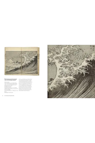 Hokusai. Beyond the great wave we. angielska - Timothy Clark