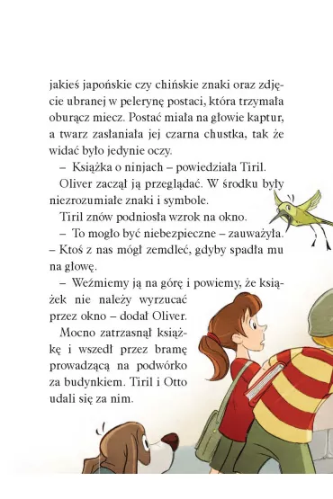 Operacja Ninja. Biuro Detektywistyczne nr 2. Tom 28 - Jorn Lier Horst, Hans Jorgen Sandnes