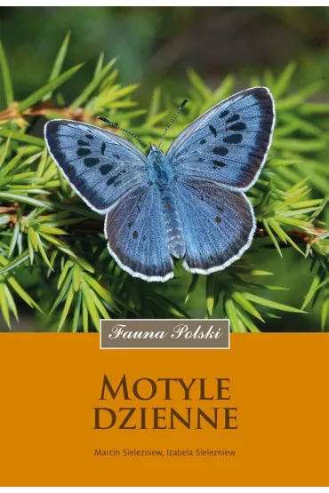 Motyle dzienne - Marcin Sielezniew, Izabela Sielezniew