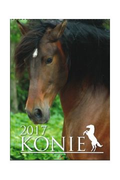 Kalendarz 2020 cienny Wieloplanszowy Konie