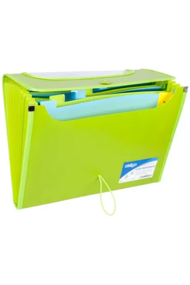 Strigo Teczka VFILE PP A4 z 12 przek�adkami zielona