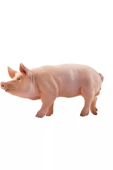 Knur