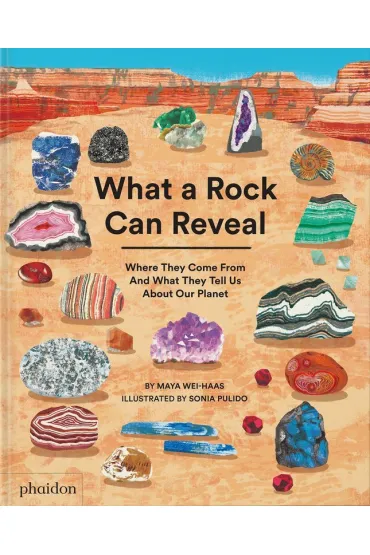 What a Rock Can Reveal. Where They Come From And What They Tell Us About Our Planet - Maya  Wei-Haas