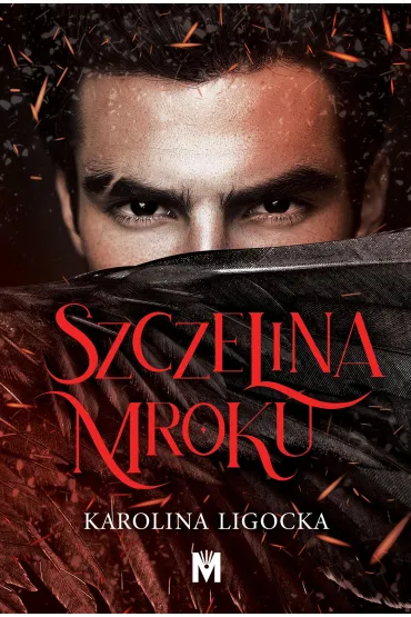 Szczelina mroku. Historia Naridy. Tom 2 - Karolina Ligocka
