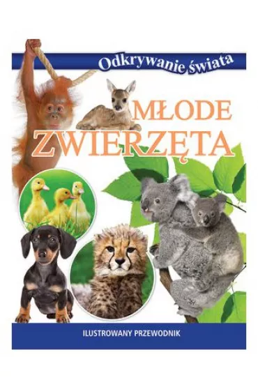 Odkrywanie �wiata. M�ode zwierz�ta
