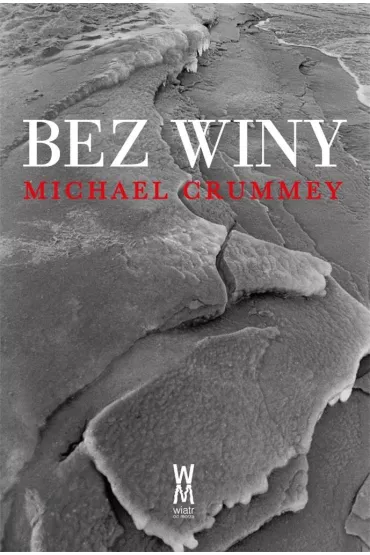 Bez Winy - Michael Crummey