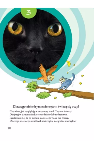 Owocna edukacja. Do�wiadczenia ma�ego odkrywcy. Klasa 1 - Stefania Elbanowska-Ciemuchowska