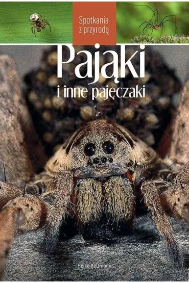 Paj�ki i inne paj�czaki. Spotkania z przyrod� - Bellmann Heiko