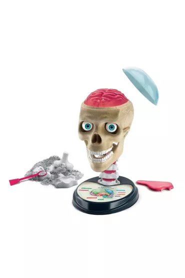 Anatomia Clementoni