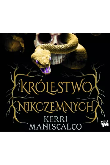 Audiobook Krlestwo Nikczemnych. Tom 1 mp3 - Kerri  Maniscalco