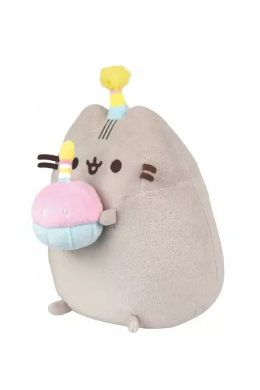 Pusheen z tortem
