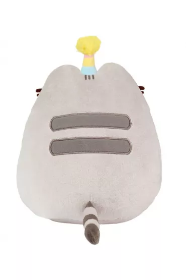 Pusheen z tortem