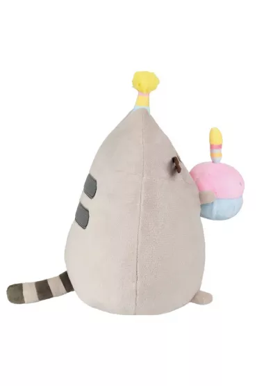 Pusheen z tortem