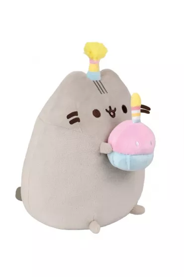 Pusheen z tortem