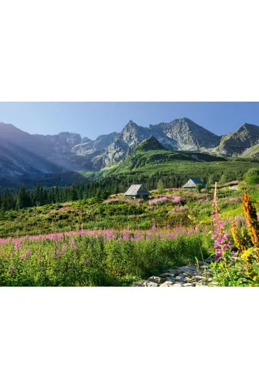 Puzzle 1000 el. G�sienicowa hall in Tatras CherryPazzi