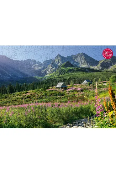 Puzzle 1000 el. G�sienicowa hall in Tatras CherryPazzi
