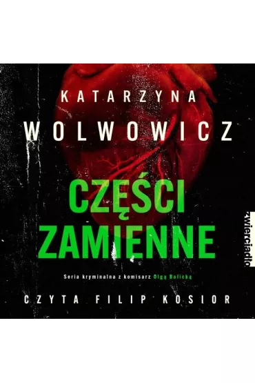 Audiobook Czci zamienne mp3 - Katarzyna  Wolwowicz