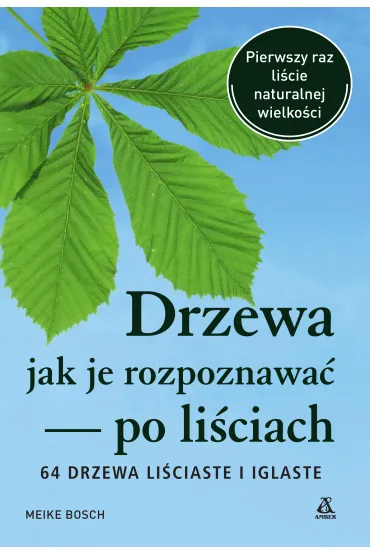 Drzewa - jak je rozpoznawa� po li�ciach. 64 drzewa li�ciaste i iglaste - Meike Bosch