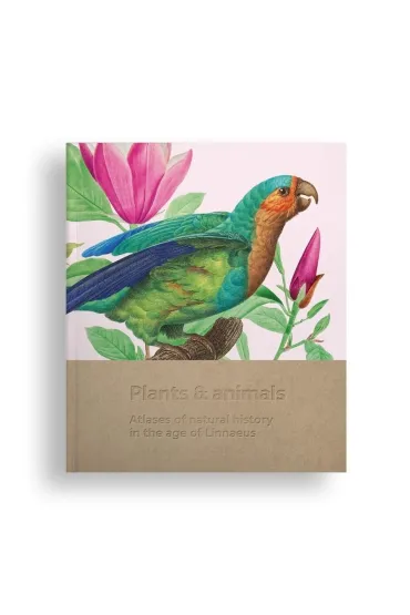 Plants and animals