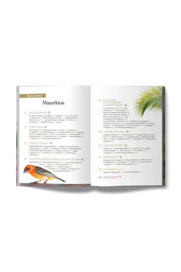 Mauritius i Seszele - Przemys�aw  Palczy�ski