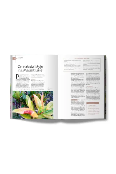Mauritius i Seszele - Przemys�aw  Palczy�ski