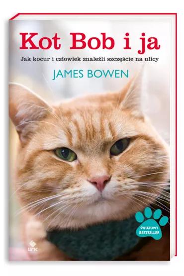 Kot Bob i ja. Jak kocur i czowiek znaleli szczcie na ulicy - James Bowen