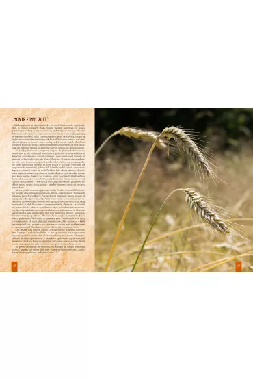 Kuchnia S�owian, czyli o poszukiwaniu dawnych smak�w - Hanna Lis, Pawe� Lis