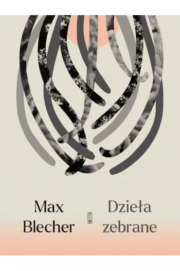 Dzie�a zebrane - Max Blecher