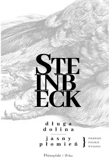 D�uga dolina. Jasny p�omie� - John Steinbeck