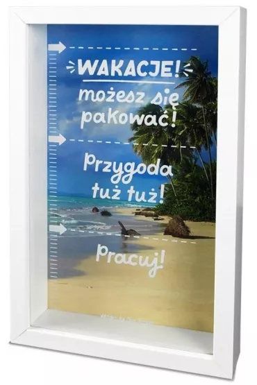 Skarbonka Home 3 - Wakacje 2 Pan Dragon