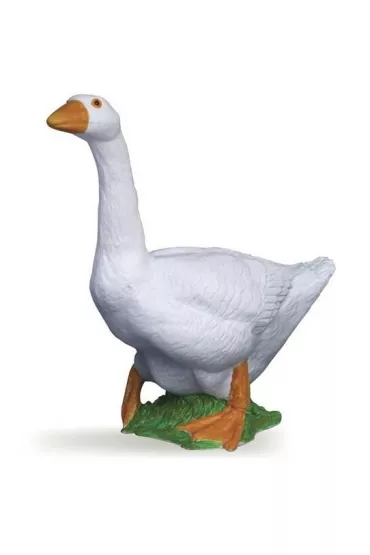 G�