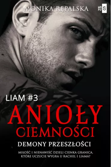 Anio�y ciemno�ci. Demony przesz�o�ci. Liam. Tom 3 - Monika R�palska