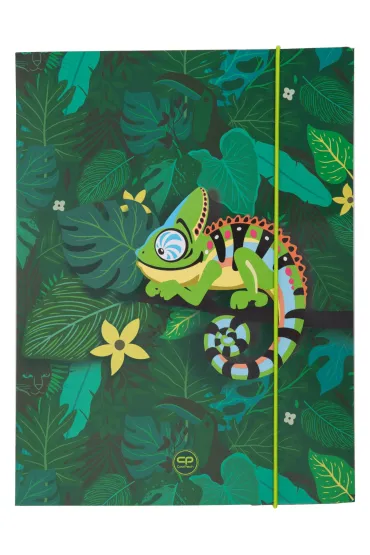 Patio Teczka kartonowa z gumk� A4 Coolpack Tropic