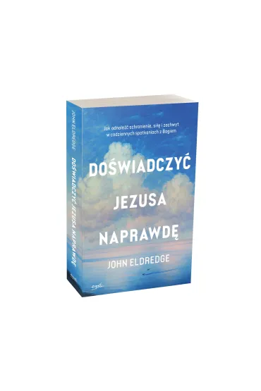 Do�wiadczy� Jezusa naprawd�. Jak odnale�� schronienie, si�� i zachwyt w codziennych spotkaniach z Bogiem - John Eldredge