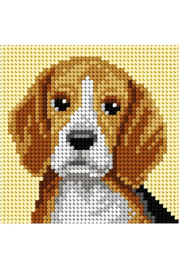 Haft. Moje pierwsze wyszywanie - Beagle Anex-bis