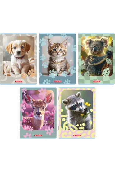 Zeszyt Herlitz Standard Animals A5/32k kratka z marginesem, 1 szt