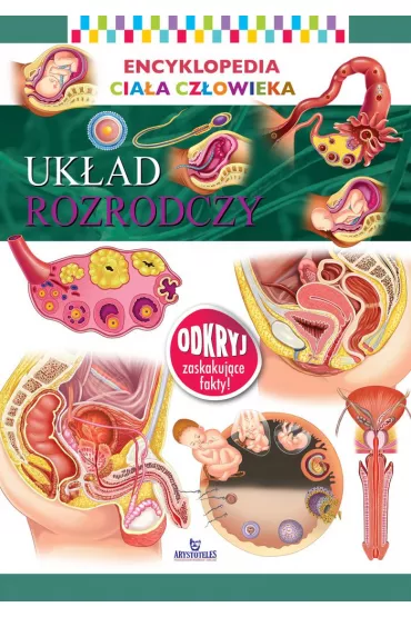 Encyklopedia cia�a cz�owieka Uk�ad rozrodczy