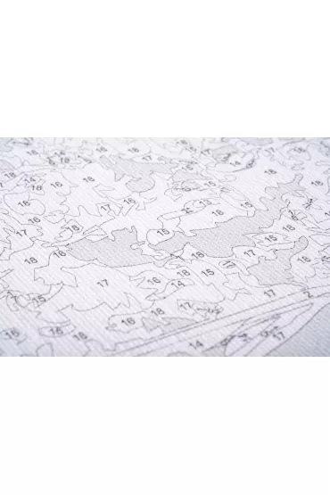 Twoje Hobby Malowanie po numerach - Bia�y �ab�d� 40x50cm