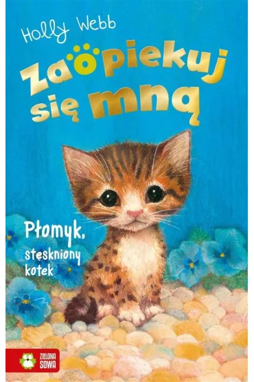 P�omyk, st�skniony kotek. Zaopiekuj si� mn� - Holly Webb