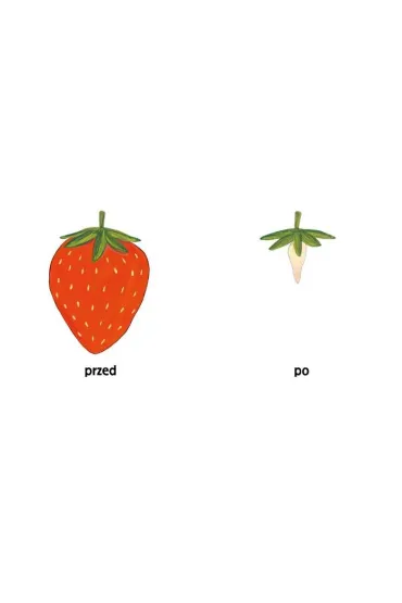 Pomelo i przeciwie�stwa - Benjamin Chaud, Ramona B�descu