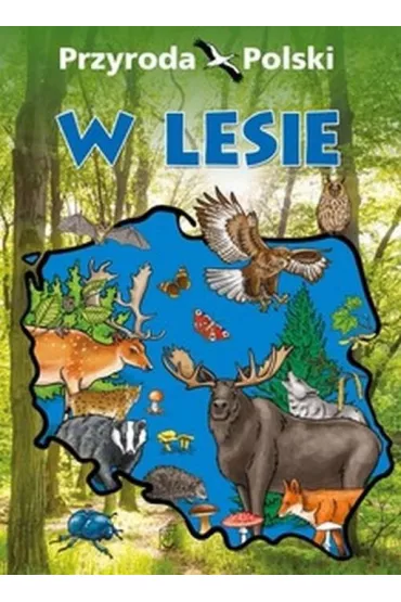 Przyroda Polski. W lesie