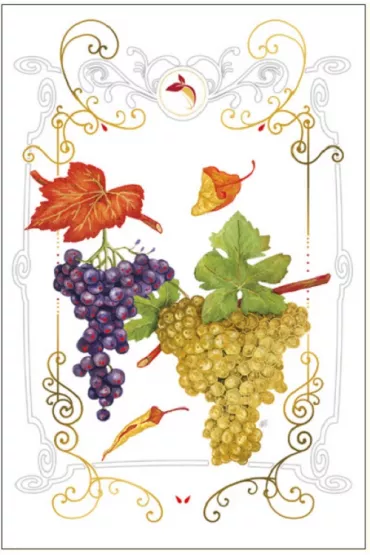 DaVinci Karnet B-BD 502 060 + koperta Winogrona 12x18 cm