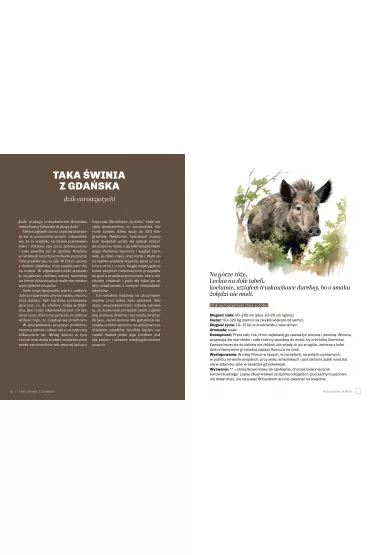 Gupie zwierzta Polski i jak je znale. Przewodnik wiadomego obserwatora - Marek Maruszczak