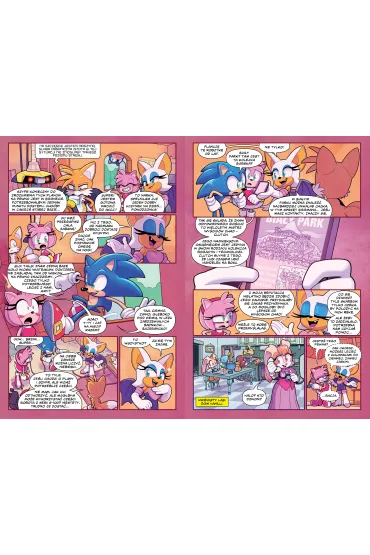 Wy�cigi Chao i Badnik�w nalot 1. Sonic the Hedgehog. Tom 17 - Evan Stanley