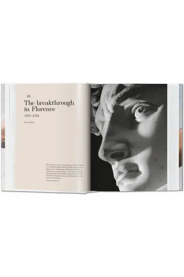 Michelangelo The Complete Paintings, Sculptures AND Architecture - Christof Thoenes, Frank Zollner