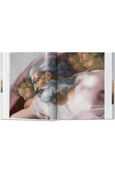 Michelangelo The Complete Paintings, Sculptures AND Architecture - Christof Thoenes, Frank Zollner