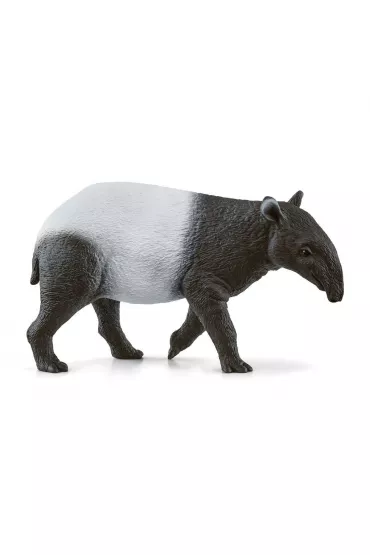 Tapir