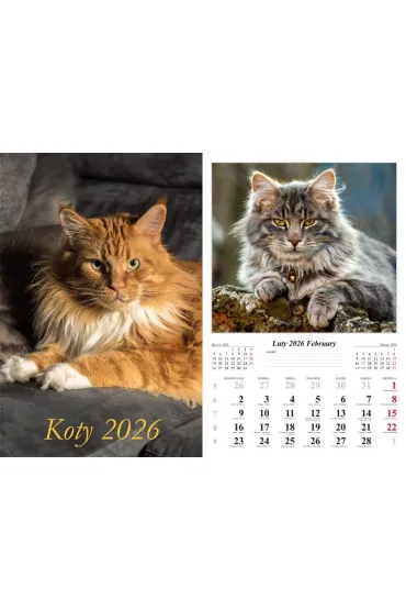 Kalendarz �cienny 2026 Koty
