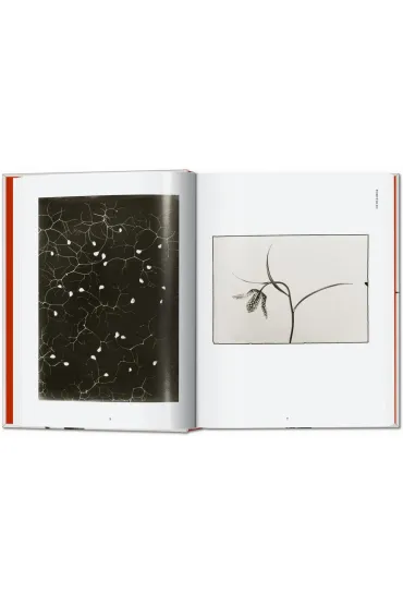 Karl Blossfeldt. The Complete Published Work. 40th Ed. wer. angielska - Hans Christian Adam